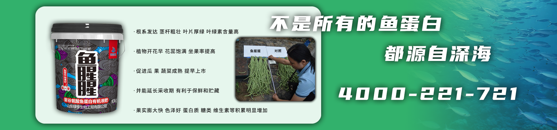 鱼蛋白肥料