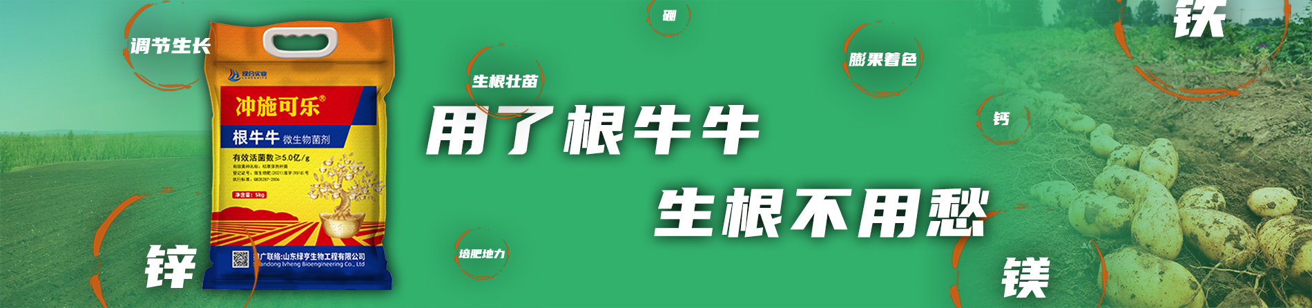 生根肥
